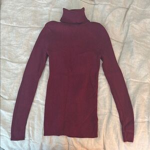 Express Burgundy Turtleneck Sweater